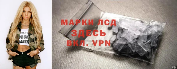 прущие грибы Алексеевка