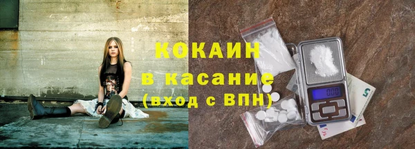 прущие грибы Алексеевка