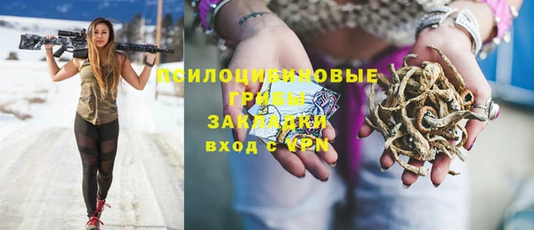 прущие грибы Алексеевка
