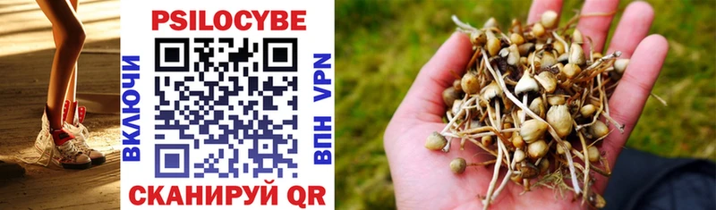 Галлюциногенные грибы Psilocybine cubensis Шуя