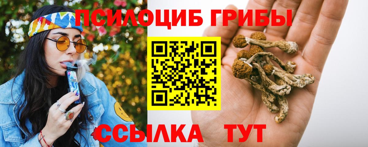 Псилоцибиновые грибы Cubensis Шуя